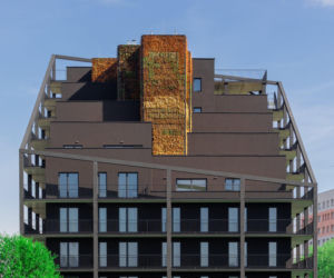 Żorro Macieja Franty, czyli czerń na blokowisku. Niebanalny, a niedrogi