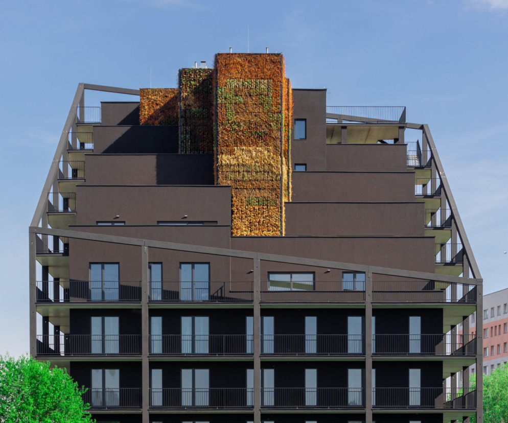 Nowoczesny apartamentowiec „Żorro” w Żorach autorstwa Macieja Franty, z charakterystyczną czarną elewacją i tarasami, na tle zielonej łąki i błękitnego nieba. Widać na nim pionowe panele gęstej zieleni na klatce schodowej. Więcej o tym projekcie architektonicznym przeczytasz na portalu Architektura Murator Plus.