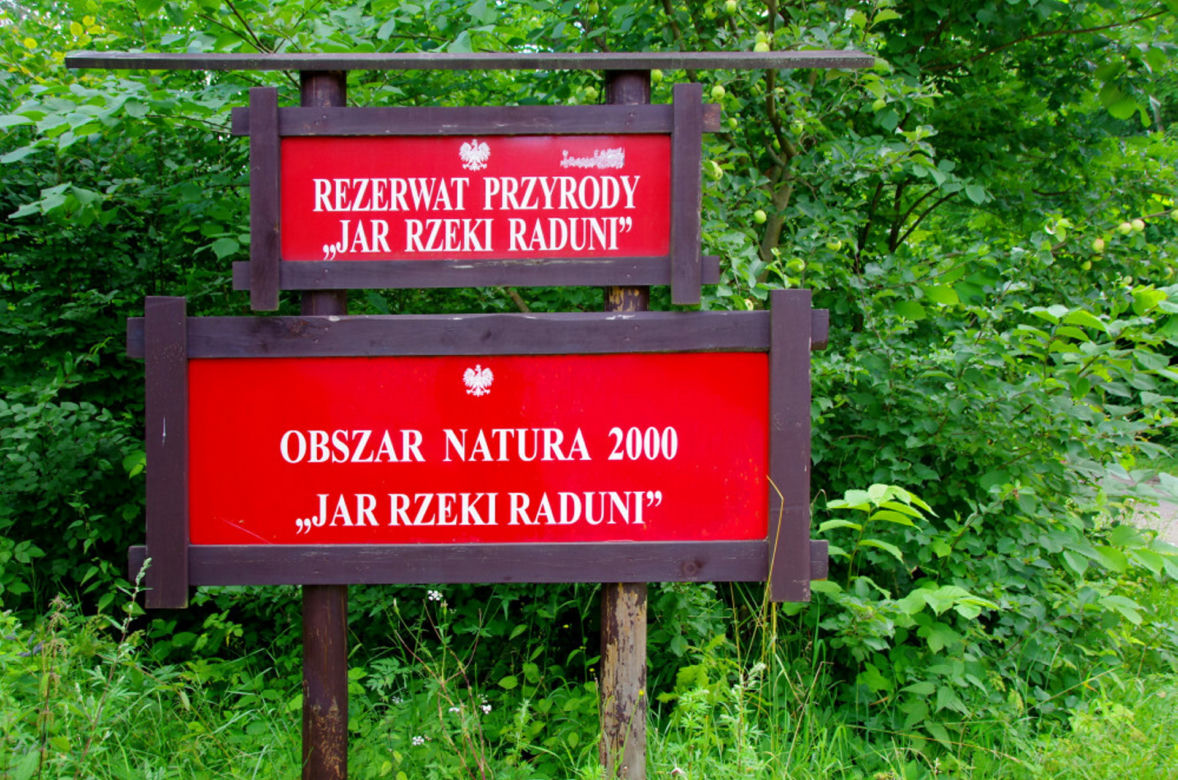 Zaparkował" auto w rzece Radunia. Na miejscu straż pożarna [ZDJĘCIA]