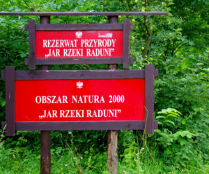 Zaparkował auto w rzece Radunia. Na miejscu straż pożarna [ZDJĘCIA]