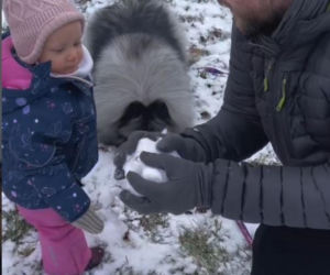 Antek Królikowski - widzę w Jadzi mojego ojca