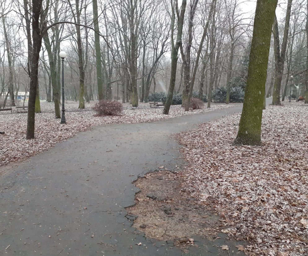 Park Miejski Aleksandria w Siedlcach może wreszcie doczekać się długo oczekiwanych prac remontowych