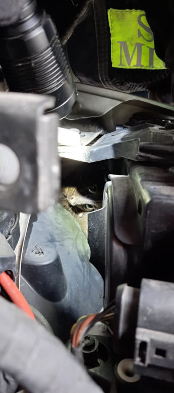 Łódź: pojechał umyć auto, okazało się, że trzeba je rozebrać. Liczyła się każda minuta!