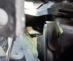 Łódź: pojechał umyć auto, okazało się, że trzeba je rozebrać. Liczyła się każda minuta!