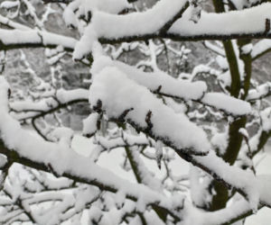 Pierwszy śnieg w regionie tarnowskim