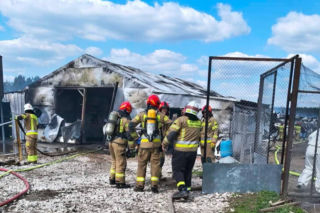 Ogromne straty po pożarze wielkiego kurnika w Lipinkach. W środku trzymano blisko 2 tysiące bażantów
