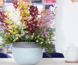 Cymbidium