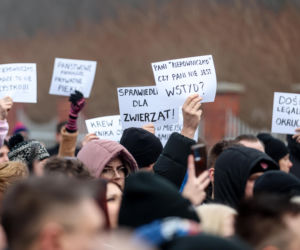 Miał być protest milczenia, doszło do awantury. Gorąco pod schroniskiem w Bytomiu