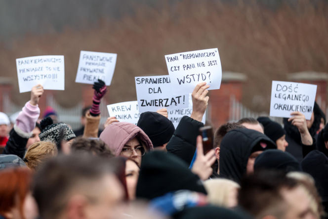 Miał być protest milczenia, doszło do awantury. Gorąco pod schroniskiem w Bytomiu