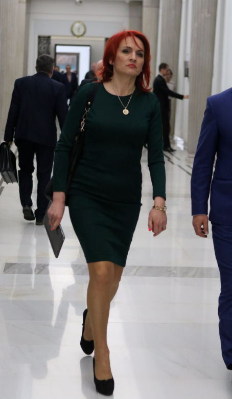 Stylizacje znanych posłanek