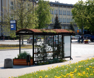 Zielone przystanki w Białymstoku nagrodzone w plebiscycie Polska Architektura XXL 2019