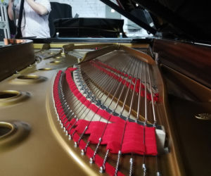 Filharmonia Pomorska w Bydgoszczy zyskała dwa nowe fortepiany! [ZDJĘCIA]