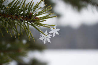 Białe święta w Polsce. Czy ten rok zaskoczy śniegiem?