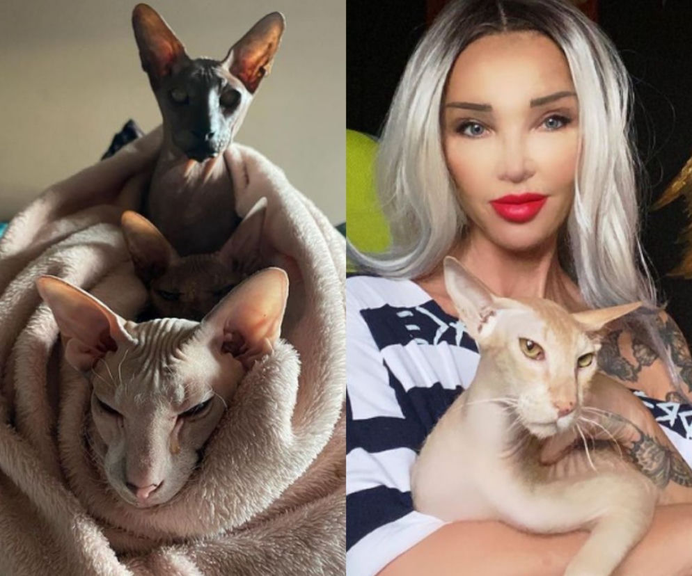Ewa Minge i jej koty