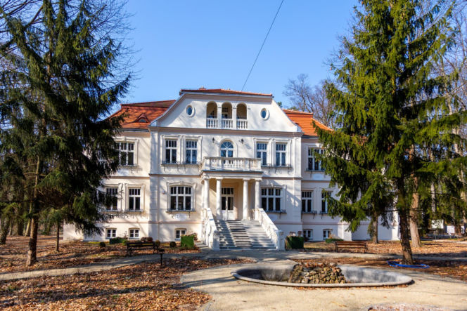 Willa Waleria ul. Spacerowa, Milanówek