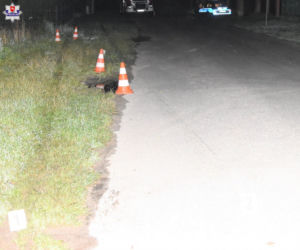MAKABRYCZNY wypadek pod Zamościem. PIJANY kierowca audi ZABIŁ 13-letnie DZIECKO!