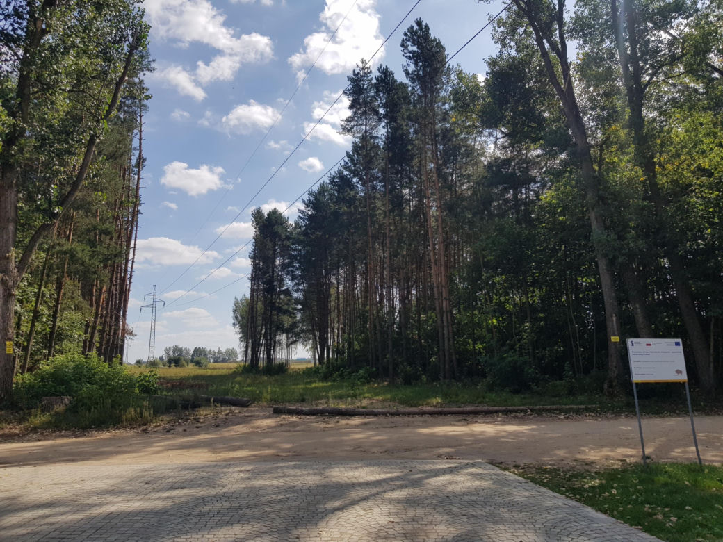 Wieża widokowa w Uhowie. To najwyższa wieża na Podlasiu [ZDJĘCIA]
