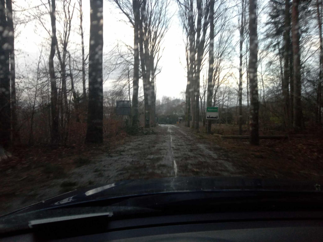 Drzewa na trasie między Karłowem a Radkowem w powiecie kłodzkim 