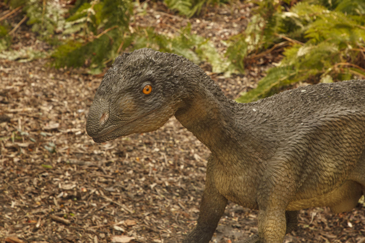Dinozaury opanowały wrocławski ogród botaniczny