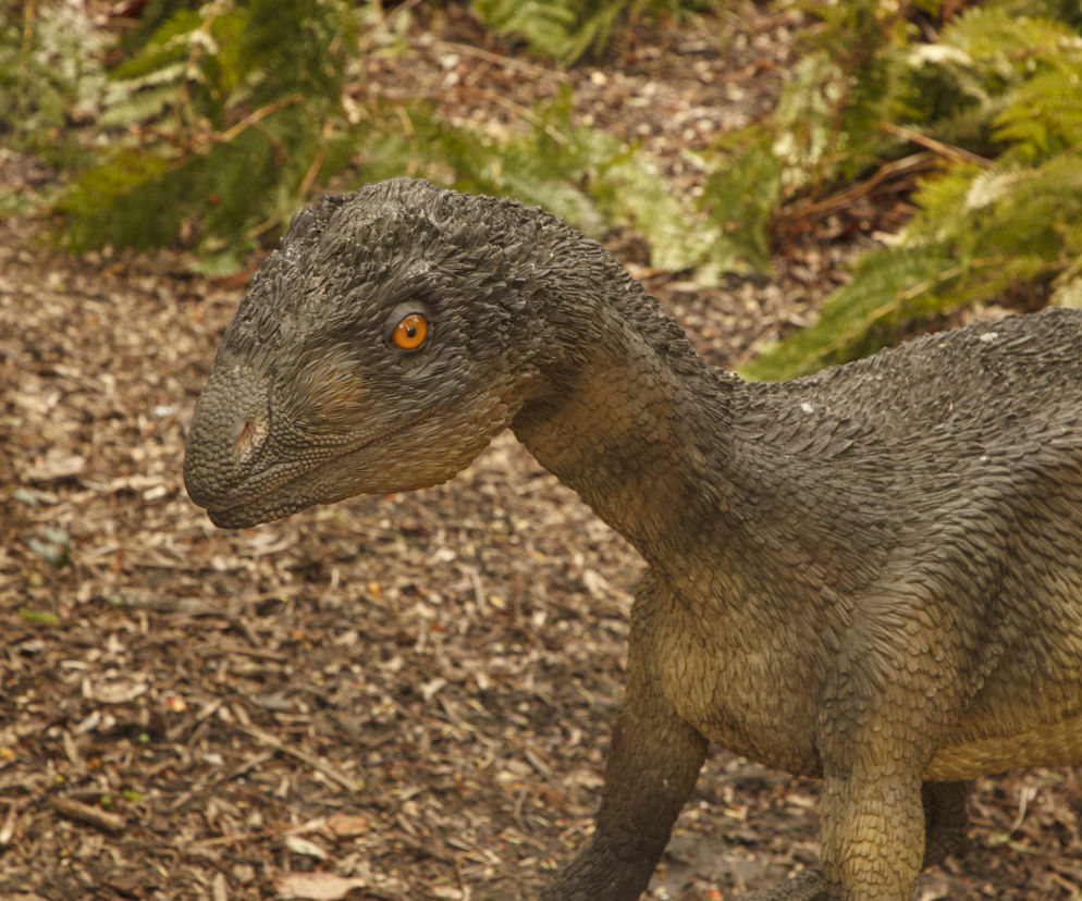Dinozaury opanowały wrocławski ogród botaniczny