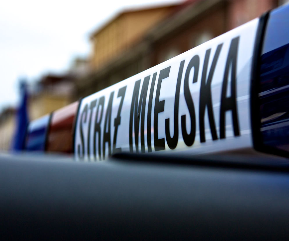 Straż Miejska