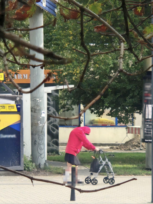 Elżbieta Dmoch. Dramat wielkiej gwiazdy