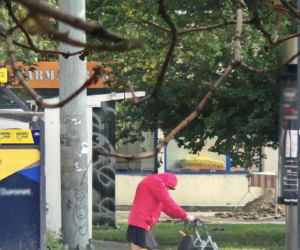 Elżbieta Dmoch. Dramat wielkiej gwiazdy