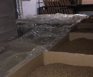 Produkowali 150 paczek papierosów na minutę. Nielegalna fabryka zlikwidowana