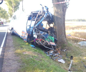 Śmiertelny wypadek na DK 33 w miejscowości Wilkanów