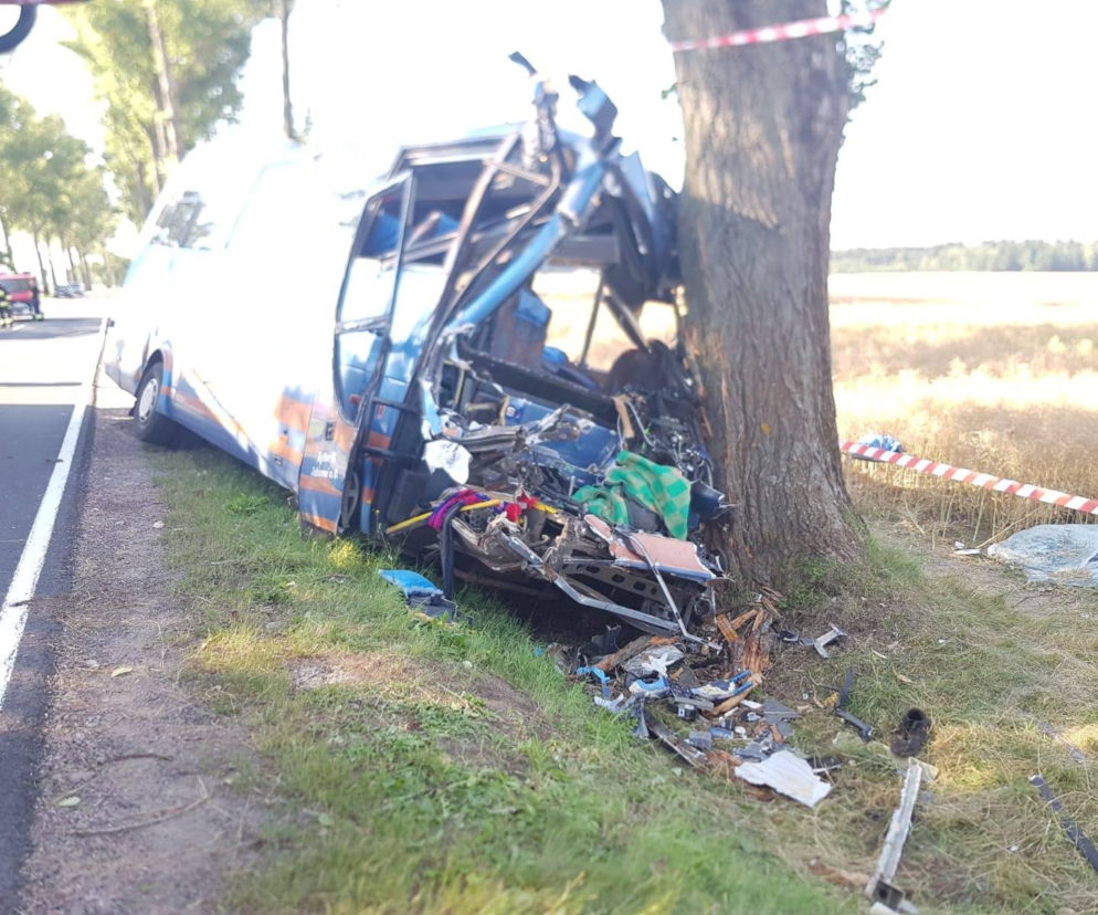 Śmiertelny wypadek na DK 33 w miejscowości Wilkanów