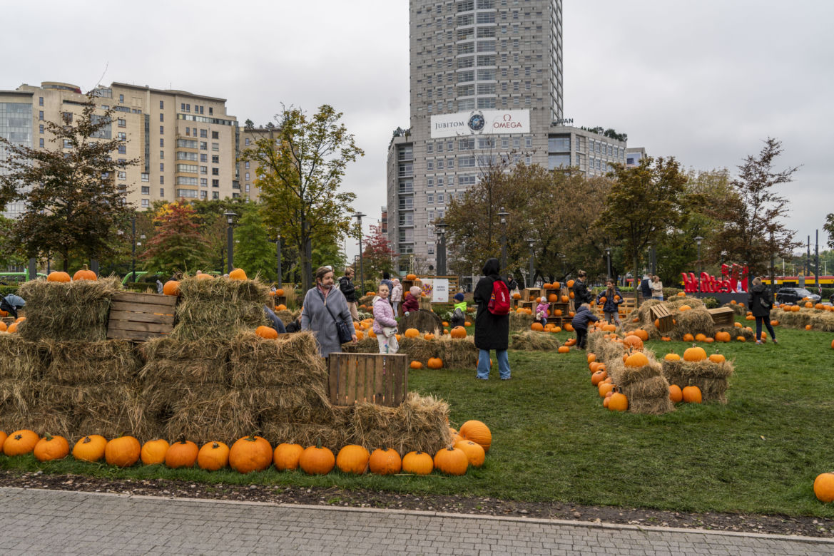 Farma Dyniowa przed galerią handlową Westfield Arkadia
