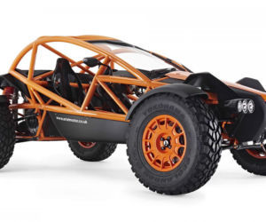 Ariel Nomad