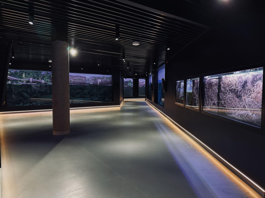 Nowe Egzotarium w Sosnowcu