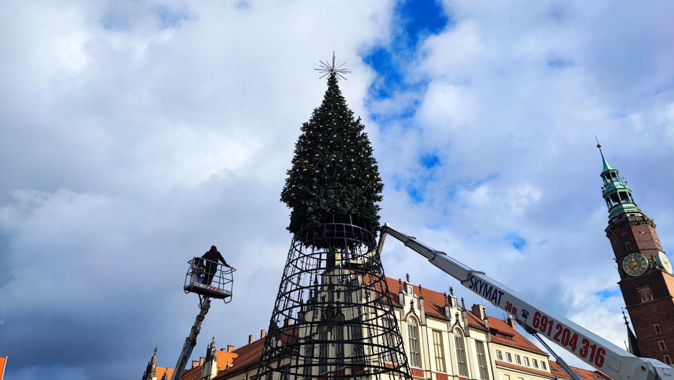 Na rynku we Wrocławiu stawiają 24-metrową choinkę. Będzie inna od poprzedniej 