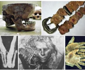 ED GEIN