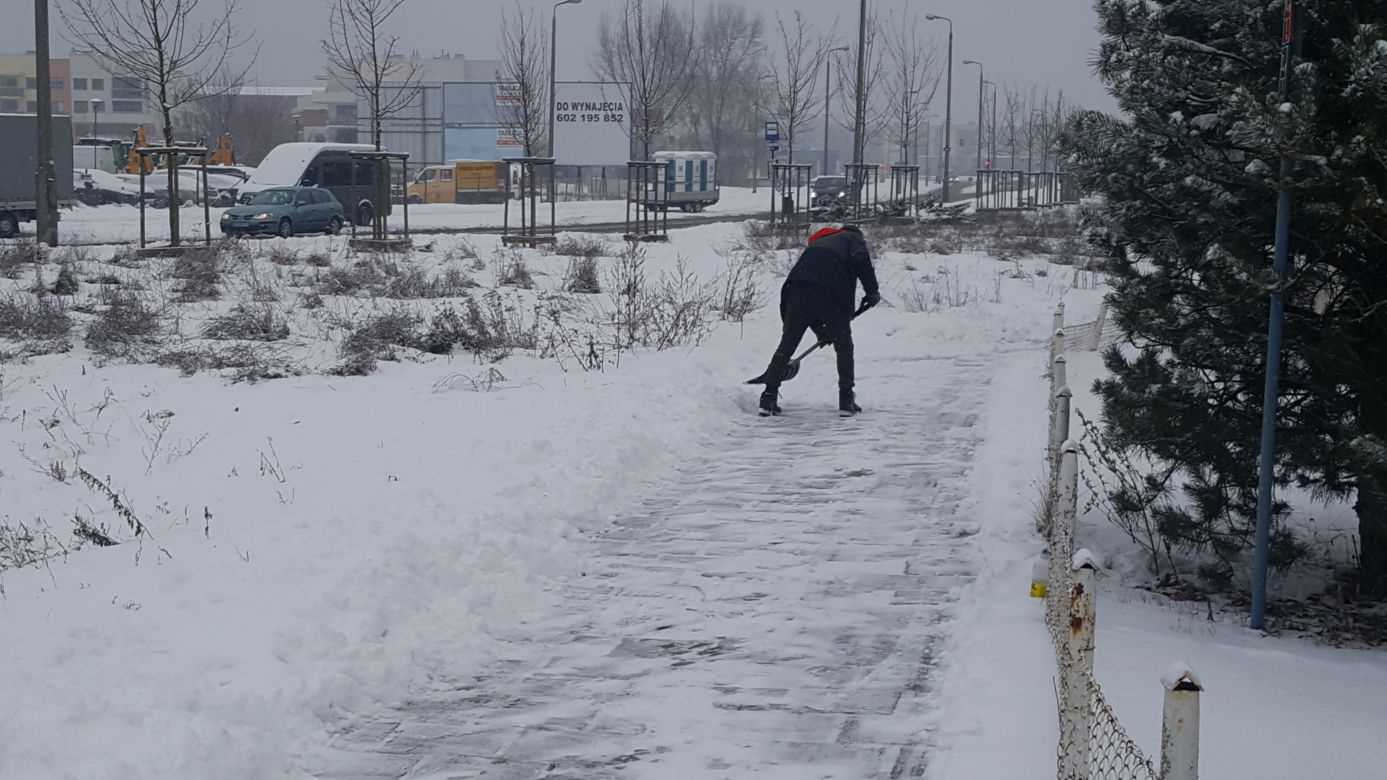 W Bydgoszczy znów prószy śnieg
