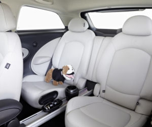 Mini Paceman