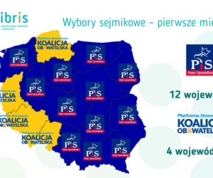BADANIE STAYSTYCZNE - WYBORY