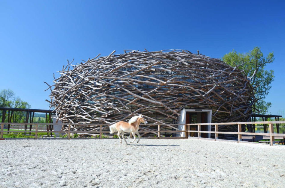 SGL Projekt - The Stork Nest Farm 
