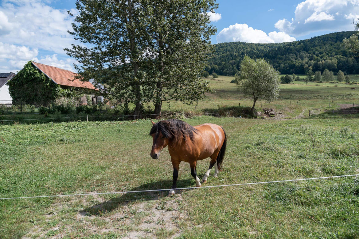 Gorlice – magiczne wrota do Beskidu Niskiego. Co warto zobaczyć?
