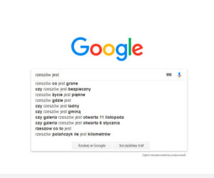 Rzeszów w Google