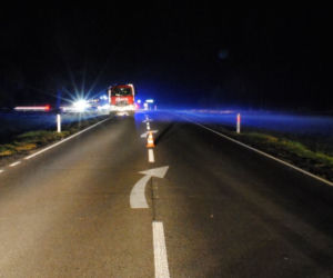 Annówka: Horror na drodze. Śmierć po zderzeniu z łosiem