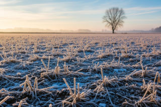 Susza hydrologiczna w Polsce. Czy śnieg wystarczy do poprawy sytuacji?
