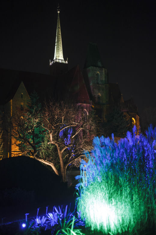 Lasery, muzyka i kolorowe iluminacje w Ogrodzie Botanicznym we Wrocławiu
