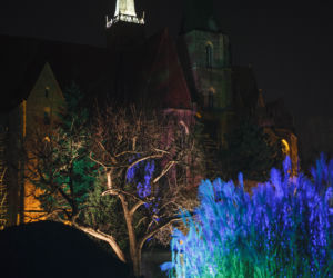 Lasery, muzyka i kolorowe iluminacje w Ogrodzie Botanicznym we Wrocławiu