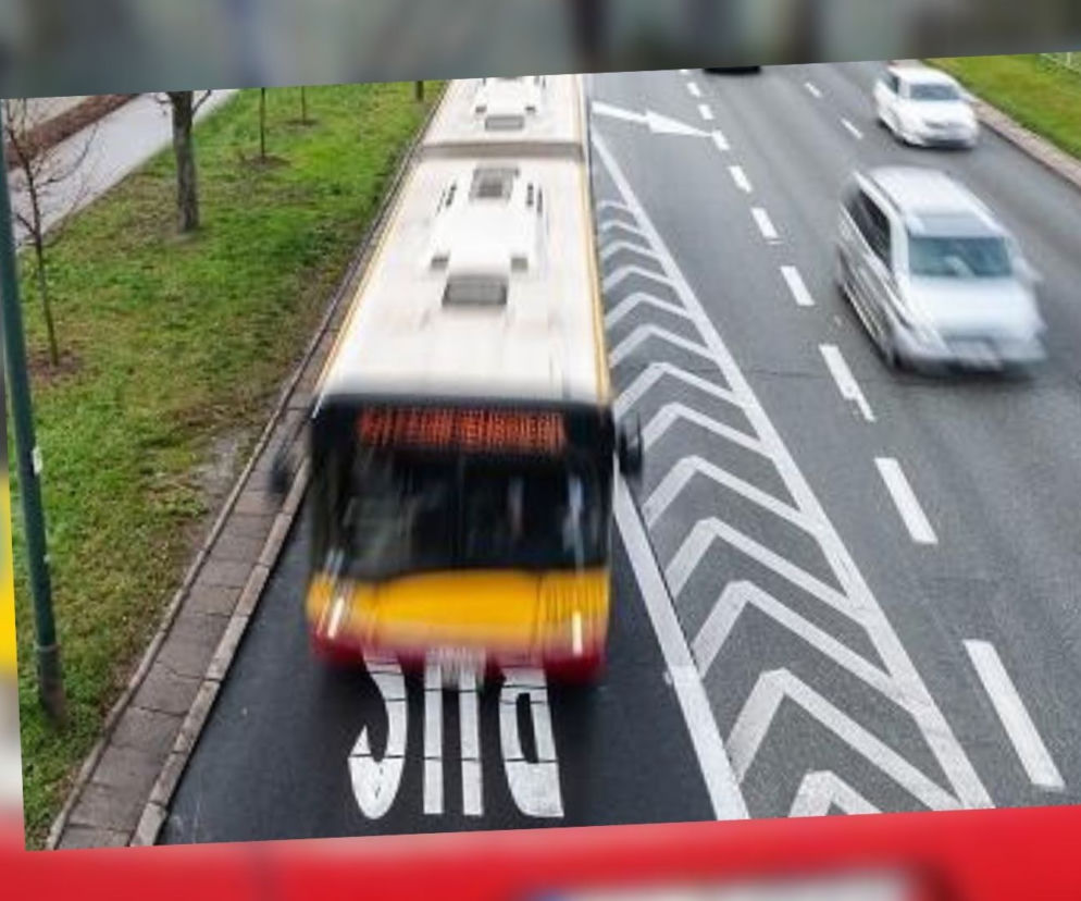 Buspas na Dolinie Służewieckiej