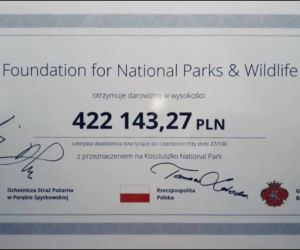 Strażacy z Małopolski zebrali prawie pół miliona złotych dla Australii