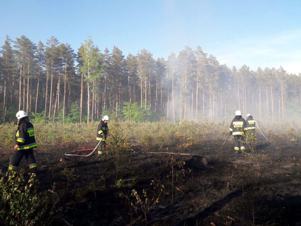 Spłonął las. Leśnicy apelują o rozsądek