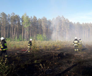 Spłonął las. Leśnicy apelują o rozsądek