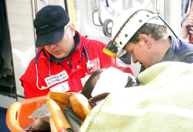 Zbigniew Nowak uratowany. Ratownicy wynoszą go z kopalni Halemba